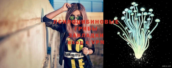 спиды Алексин