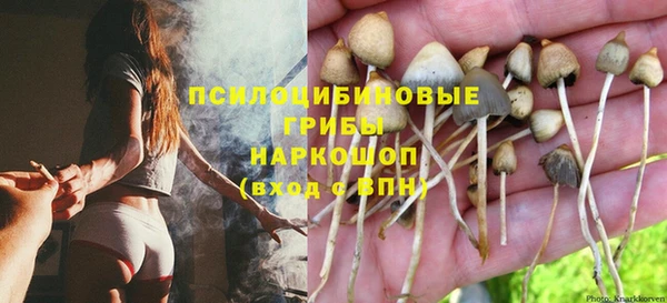 шишки Алексеевка