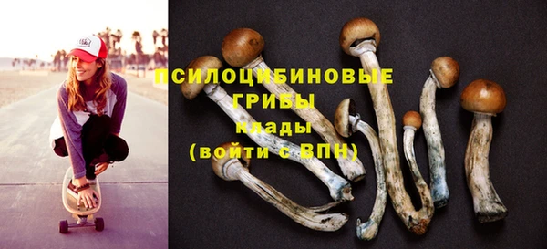 шишки Алексеевка