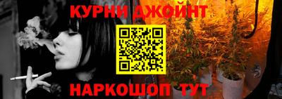 jwh Шебекино