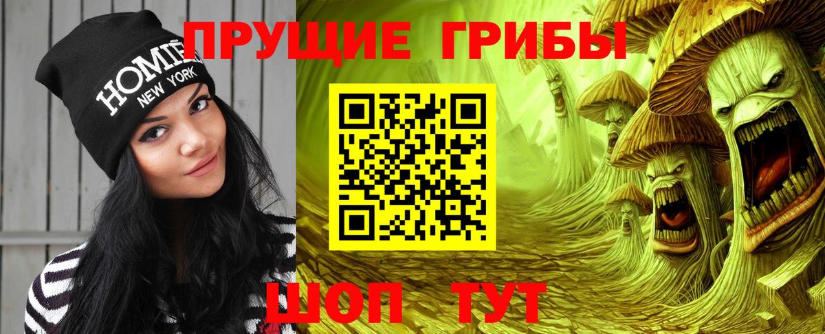 Псилоцибиновые грибы прущие грибы Северодвинск