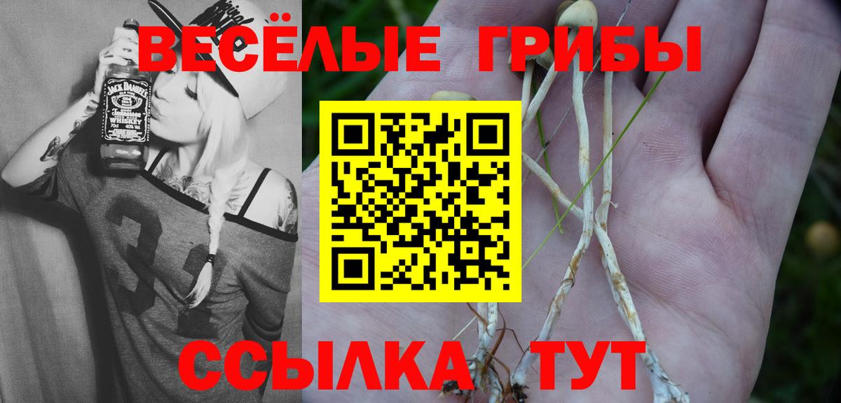Северодвинск  Галлюциногенные грибы прущие грибы  Вход с VPN 
